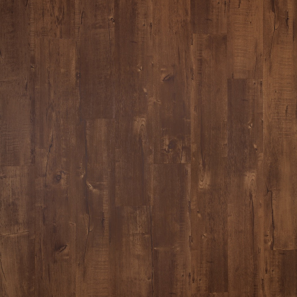 #color_Chestnut Plus