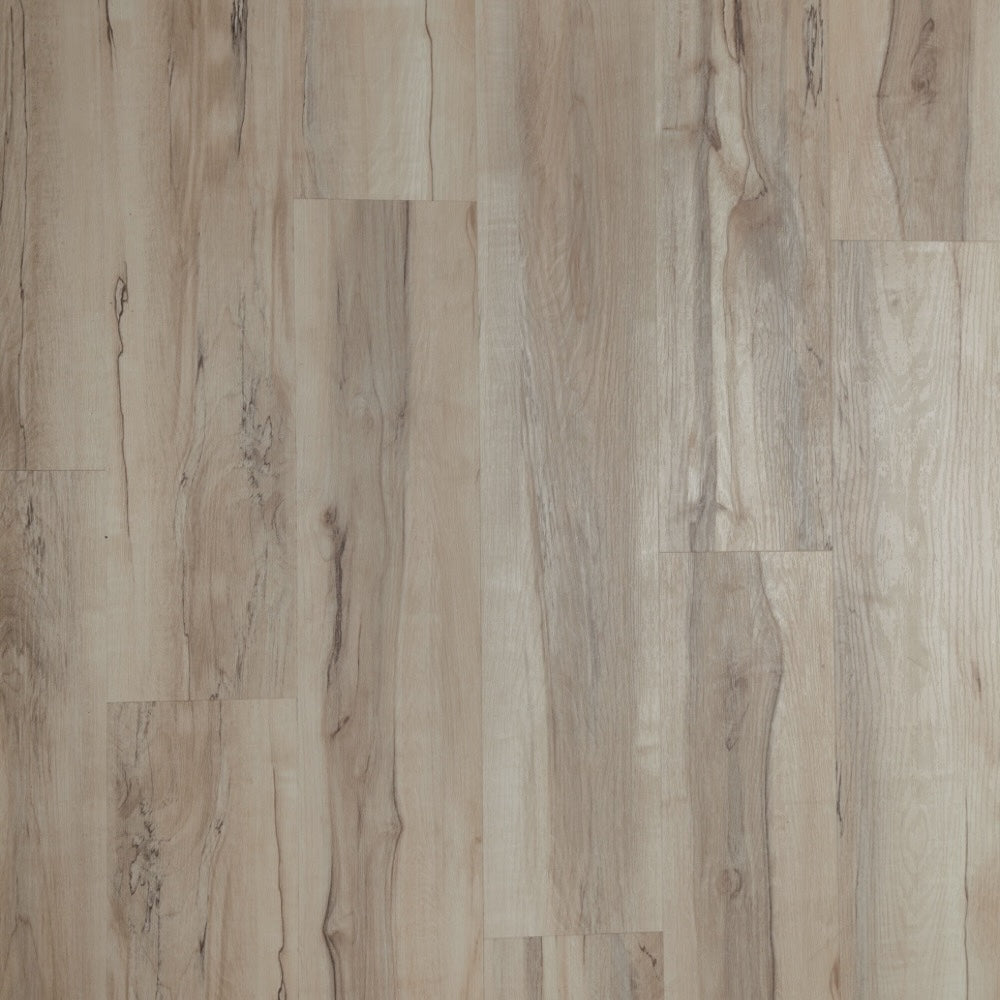 #color_Moderna Ivory