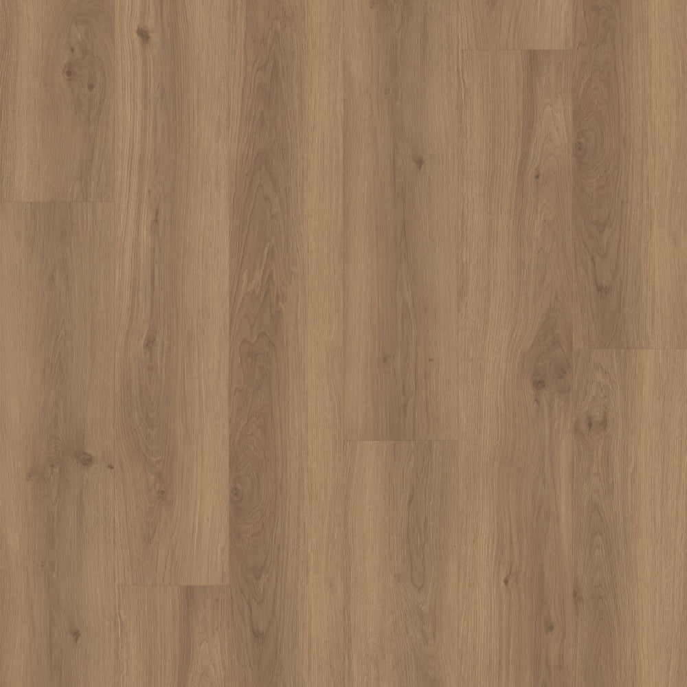 #color_Spenser Oak