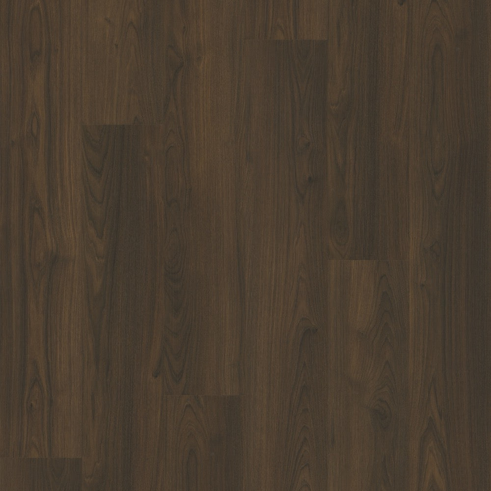 #color_Castanea
#color_FR-308