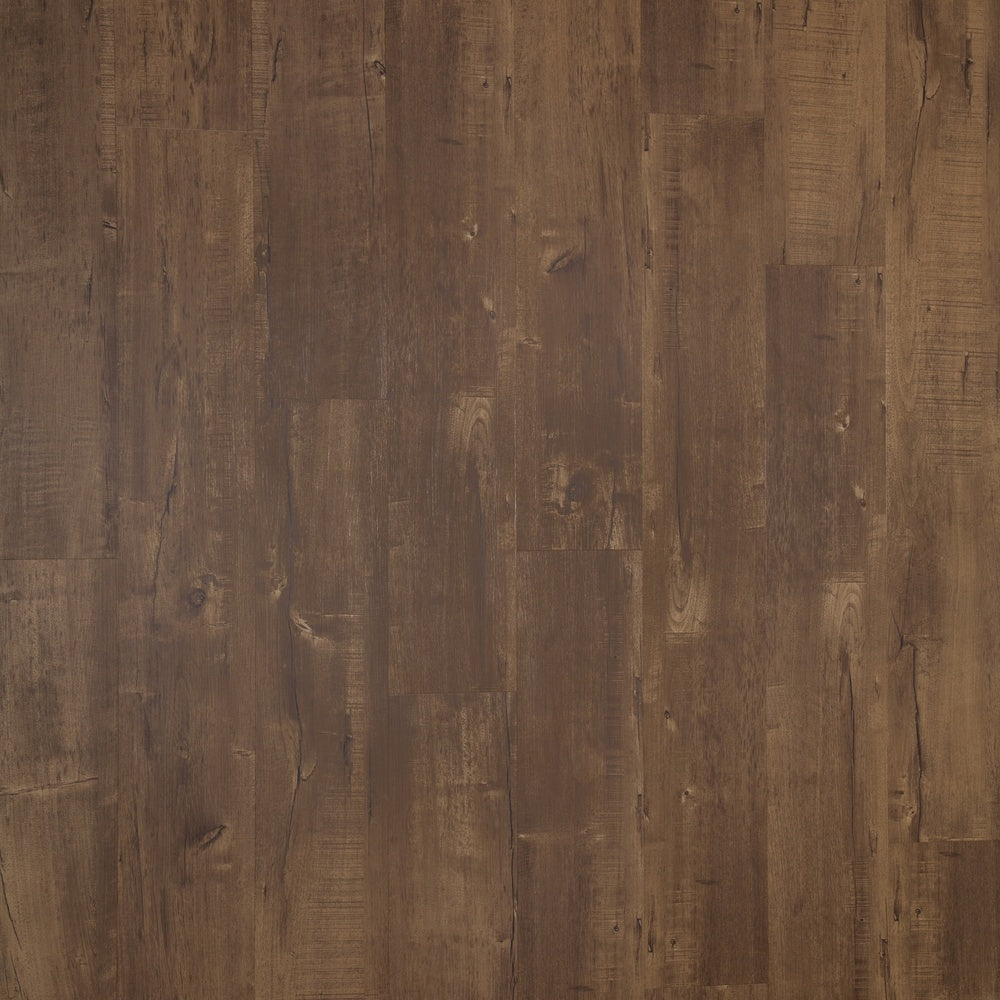 #color_Chestnut Plus