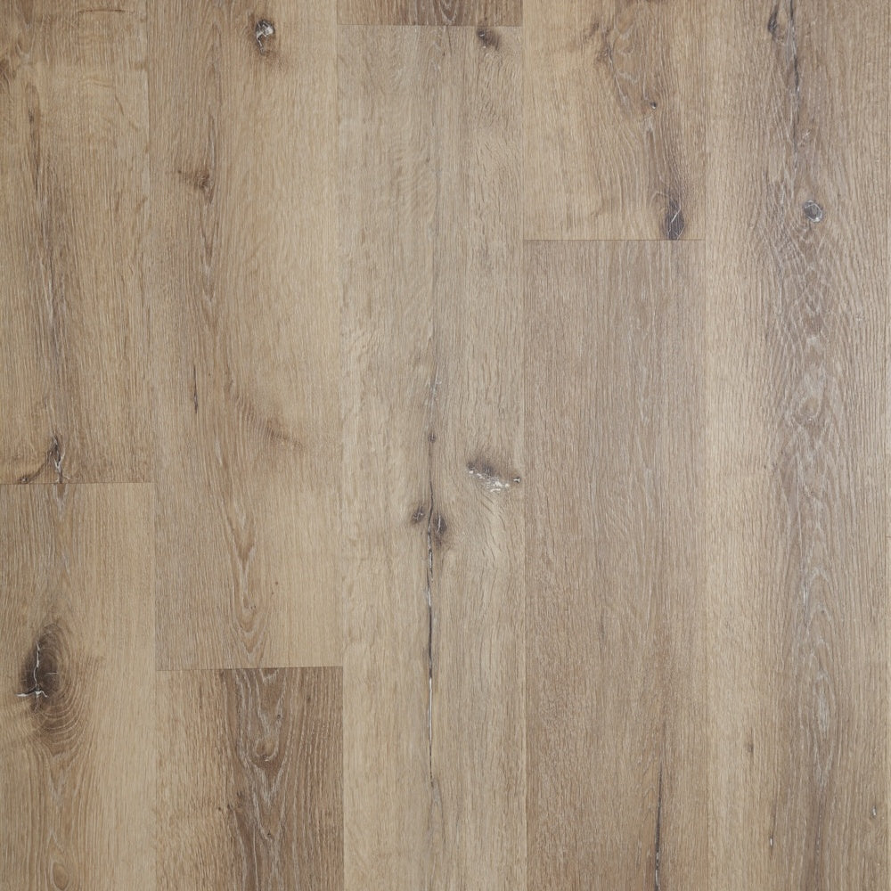 #color_English Oak