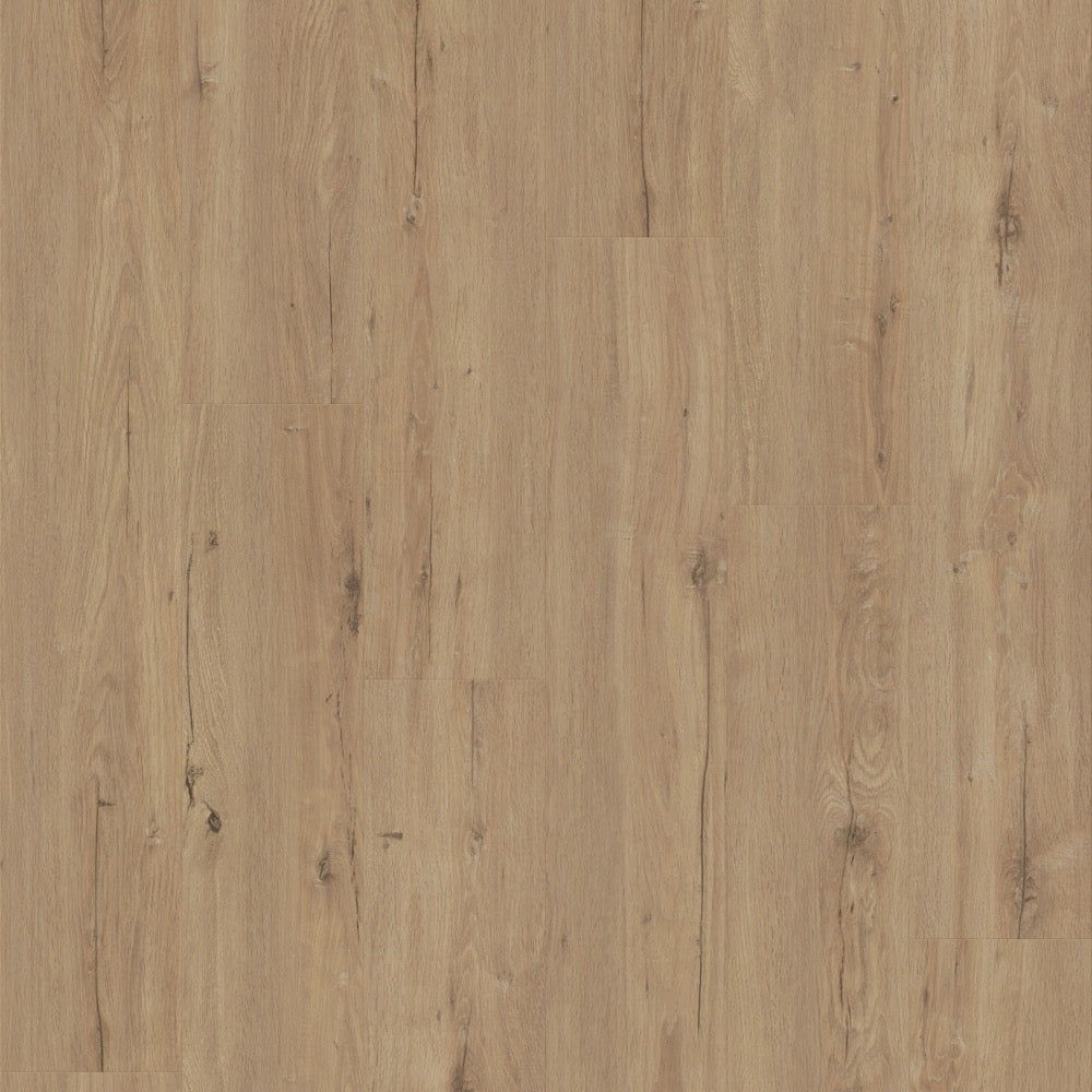 #color_Lady Oak