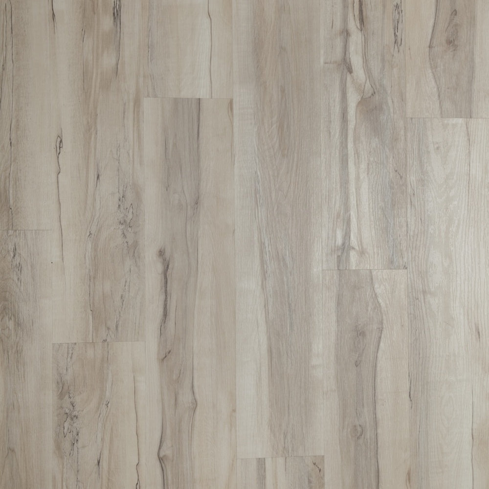 #color_Moderna Ivory