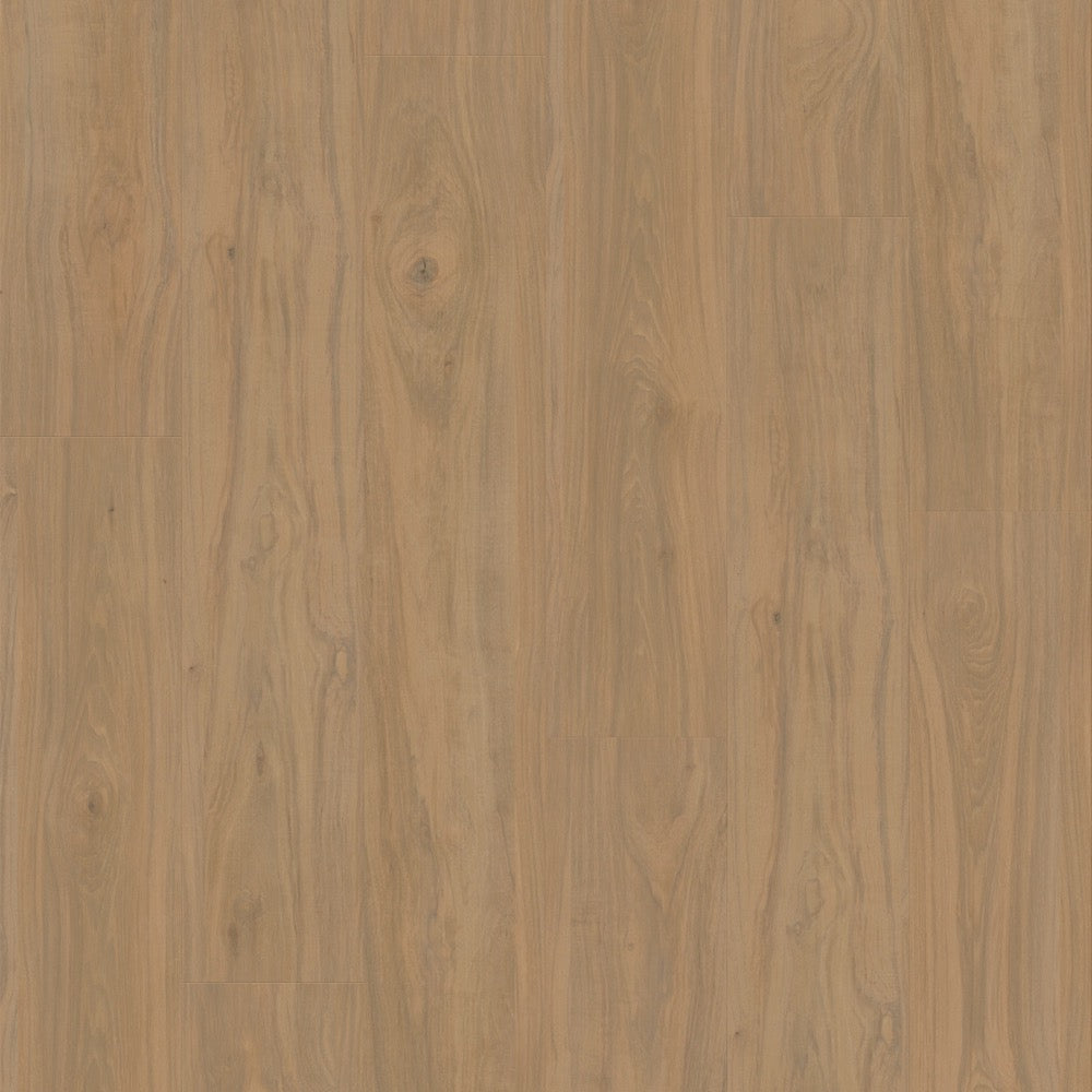 #color_Yellowstone Hickory